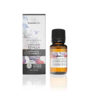 Lavender Essential Oils 1