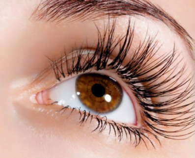 Nutrireset Treatment by Eva Grau Lifting of Eyelashes by EG